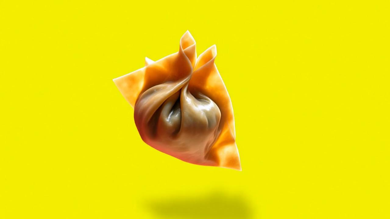freepik__360degree-rotating-shot-a-wonton-dumpling-floats-i__99415_1.jpeg